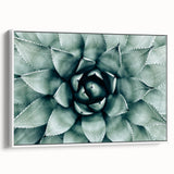 Farmhouse Succulent Wall Art – Rustic Botanical Decor for Home