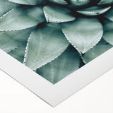 Farmhouse Succulent Wall Art – Rustic Botanical Decor for Home