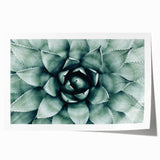 Farmhouse Succulent Wall Art – Rustic Botanical Decor for Home