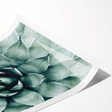 Farmhouse Succulent Wall Art – Rustic Botanical Decor for Home