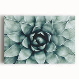 Farmhouse Succulent Wall Art – Rustic Botanical Decor for Home