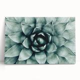 Farmhouse Succulent Wall Art – Rustic Botanical Decor for Home
