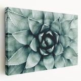 Farmhouse Succulent Wall Art – Rustic Botanical Decor for Home