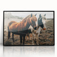 Two Horses Farmhouse Wall Art – Rustic Country Charm for Home Decor