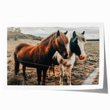 Two Horses Farmhouse Wall Art – Rustic Country Charm for Home Decor