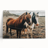 Two Horses Farmhouse Wall Art – Rustic Country Charm for Home Decor