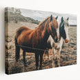 Two Horses Farmhouse Wall Art – Rustic Country Charm for Home Decor