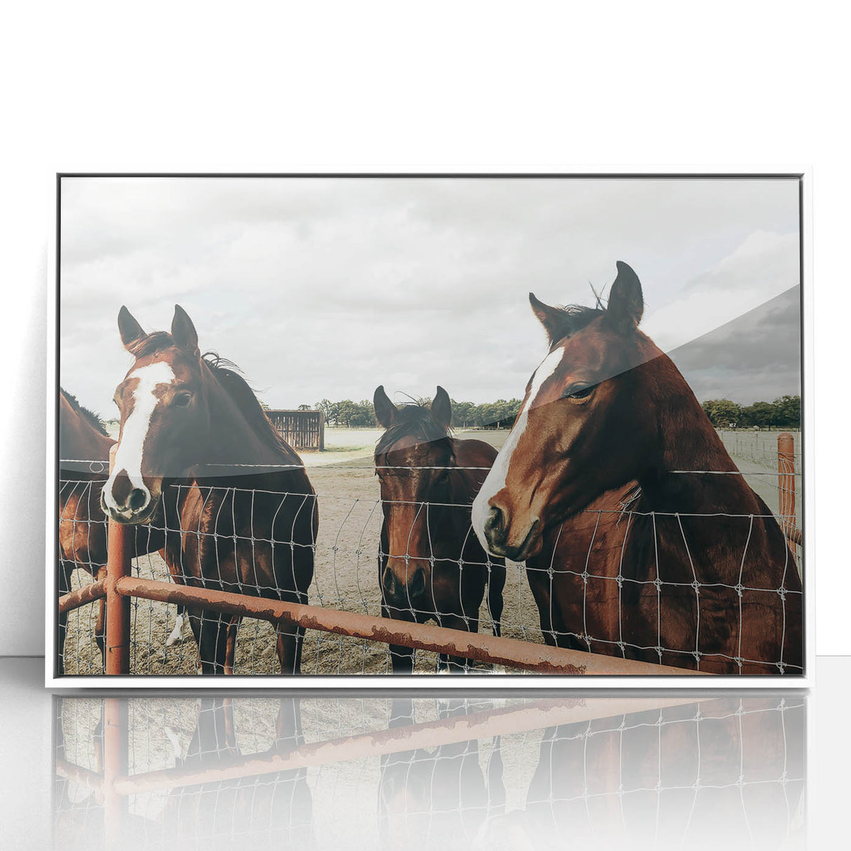 Farmhouse Wall Art: Rustic Charm with Horses - Country Style Decor