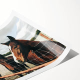 Farmhouse Wall Art: Rustic Charm with Horses - Country Style Decor