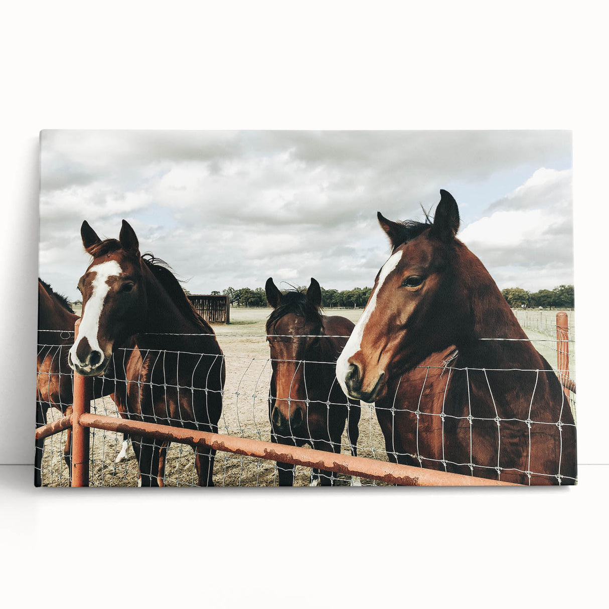 Farmhouse Wall Art: Rustic Charm with Horses - Country Style Decor