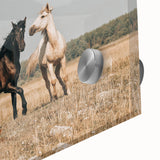 Farmhouse Wall Art: Horses Running Free - Rustic Country Decor