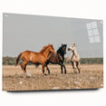 Farmhouse Wall Art: Horses Running Free - Rustic Country Decor