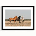 Farmhouse Wall Art: Horses Running Free - Rustic Country Decor