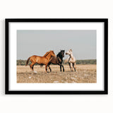 Farmhouse Wall Art: Horses Running Free - Rustic Country Decor