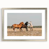 Farmhouse Wall Art: Horses Running Free - Rustic Country Decor