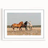 Farmhouse Wall Art: Horses Running Free - Rustic Country Decor