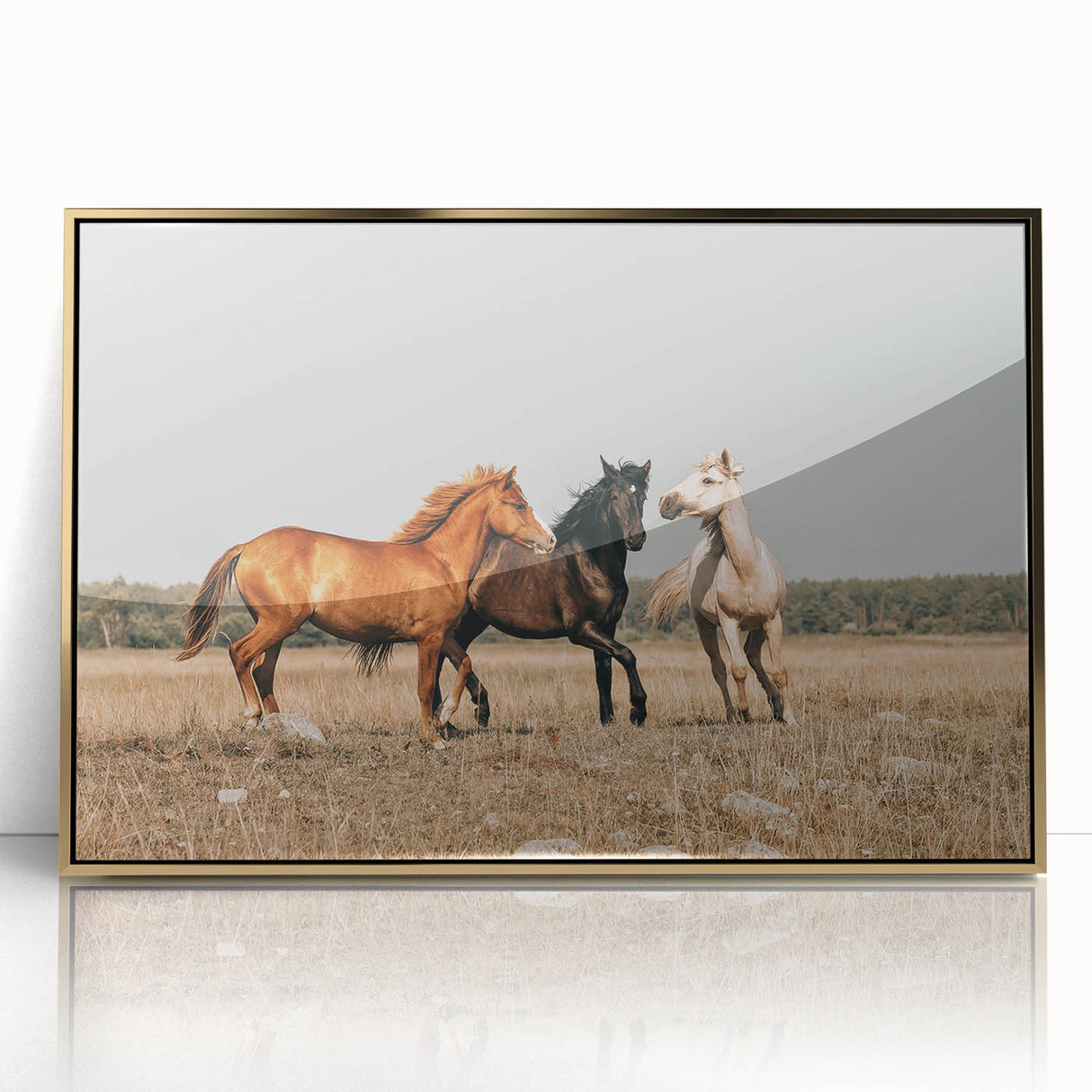 Farmhouse Wall Art: Horses Running Free - Rustic Country Decor
