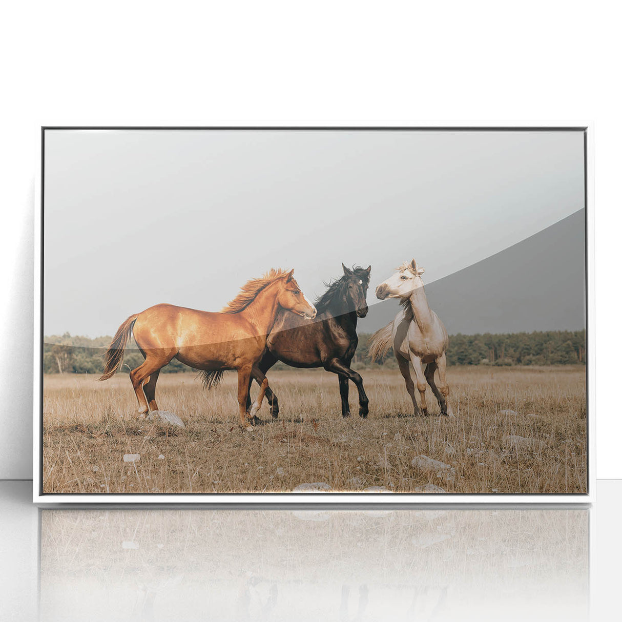 Farmhouse Wall Art: Horses Running Free - Rustic Country Decor