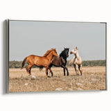 Farmhouse Wall Art: Horses Running Free - Rustic Country Decor