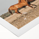 Farmhouse Wall Art: Horses Running Free - Rustic Country Decor