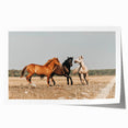 Farmhouse Wall Art: Horses Running Free - Rustic Country Decor