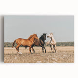 Farmhouse Wall Art: Horses Running Free - Rustic Country Decor