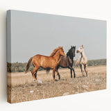 Farmhouse Wall Art: Horses Running Free - Rustic Country Decor