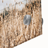 Farmhouse Wall Art: Rustic Fence in Wheat Field - Country Style Decor