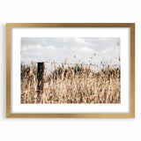 Farmhouse Wall Art: Rustic Fence in Wheat Field - Country Style Decor
