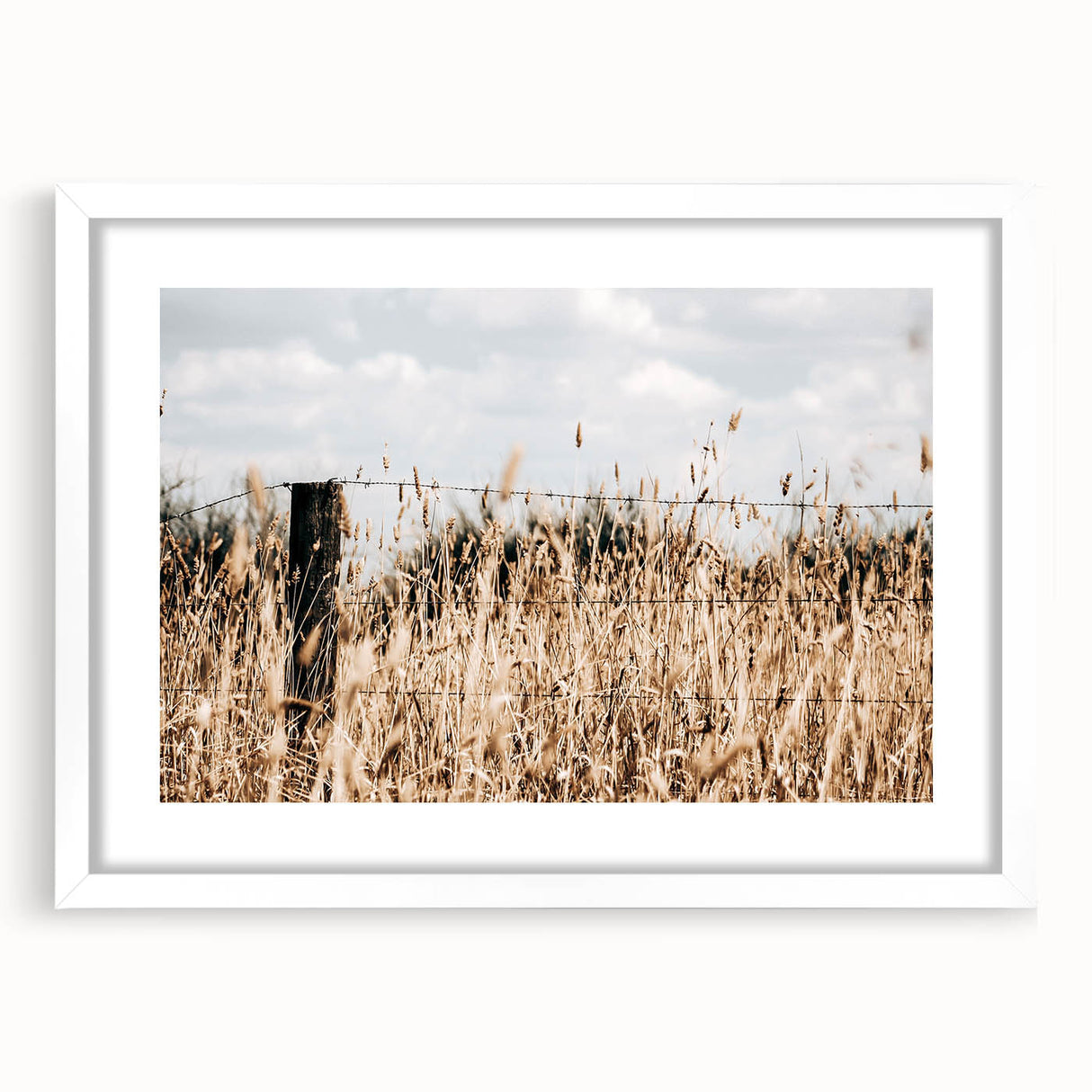 Farmhouse Wall Art: Rustic Fence in Wheat Field - Country Style Decor