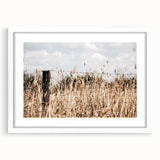 Farmhouse Wall Art: Rustic Fence in Wheat Field - Country Style Decor