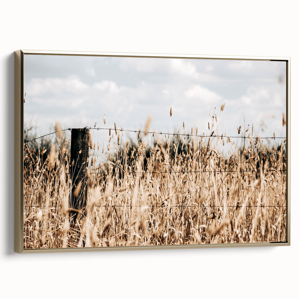 Farmhouse Wall Art: Rustic Fence in Wheat Field - Country Style Decor