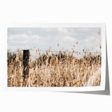 Farmhouse Wall Art: Rustic Fence in Wheat Field - Country Style Decor