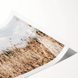 Farmhouse Wall Art: Rustic Fence in Wheat Field - Country Style Decor