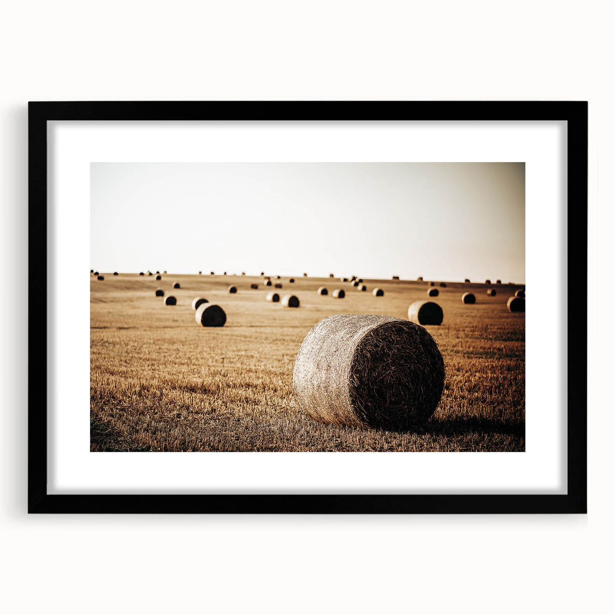 Farmhouse Wall Art: Hay Bales in Field - Rustic Country Decor