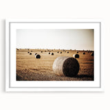 Farmhouse Wall Art: Hay Bales in Field - Rustic Country Decor