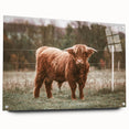 Farmhouse Wall Art: Highland Cow in Field - Rustic Country Decor