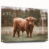 Farmhouse Wall Art: Highland Cow in Field - Rustic Country Decor