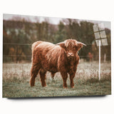 Farmhouse Wall Art: Highland Cow in Field - Rustic Country Decor