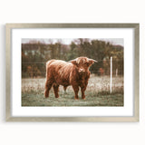 Farmhouse Wall Art: Highland Cow in Field - Rustic Country Decor