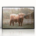 Farmhouse Wall Art: Highland Cow in Field - Rustic Country Decor