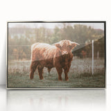 Farmhouse Wall Art: Highland Cow in Field - Rustic Country Decor