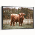 Farmhouse Wall Art: Highland Cow in Field - Rustic Country Decor