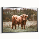 Farmhouse Wall Art: Highland Cow in Field - Rustic Country Decor