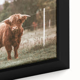 Farmhouse Wall Art: Highland Cow in Field - Rustic Country Decor