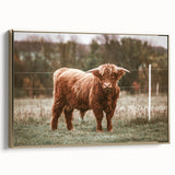 Farmhouse Wall Art: Highland Cow in Field - Rustic Country Decor