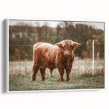 Farmhouse Wall Art: Highland Cow in Field - Rustic Country Decor