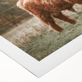 Farmhouse Wall Art: Highland Cow in Field - Rustic Country Decor