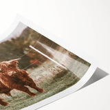 Farmhouse Wall Art: Highland Cow in Field - Rustic Country Decor