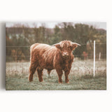 Farmhouse Wall Art: Highland Cow in Field - Rustic Country Decor